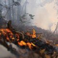 México registra 198 incendios forestales