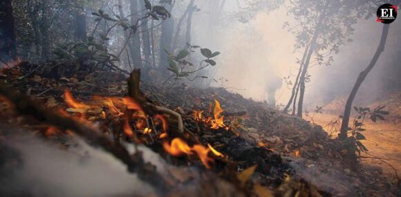 México registra 198 incendios forestales