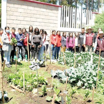 Difem fortalece la alimentación familiar con huertos escolares y orientación nutricional