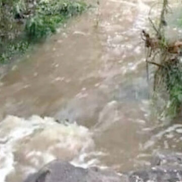 Lanzan SOS por sequía en el río San José Atlán, en Hidalgo