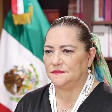 GUADALUPE TADDEI ¿EL CABALLO DE TROYA DE MORENA EN EL INE?