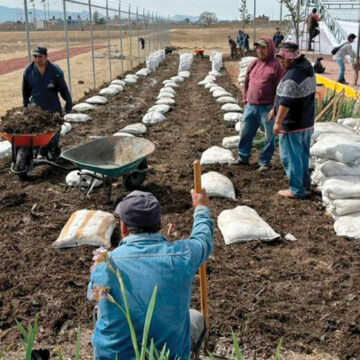 Cuenta la UAEMéx con programa de manejo responsable para residuos orgánicos