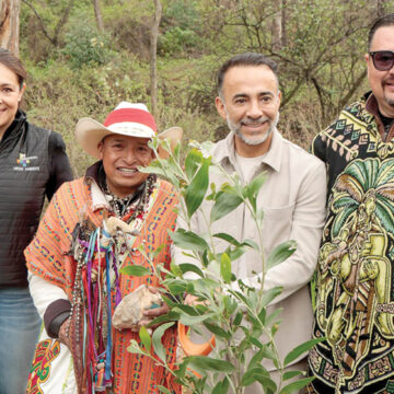 Inicia en Metepec jornada de reforestación