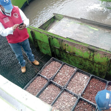 Utilizan cascarones de huevo para limpiar el Río Lerma