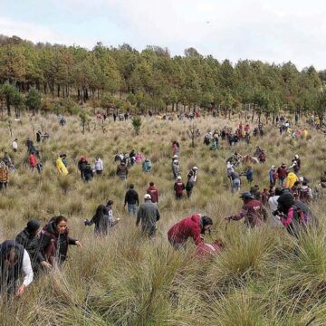 Arranca la primera jornada de reforestación estatal “Árboles para el Mañana”