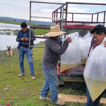 Se busca reactivar actividad pesquera en la Presa Huapango