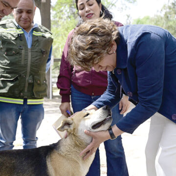 Impulsan en Edoméx las jornadas para el bienestar animal