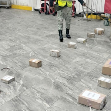 Detecta binomio canino de la GN 16 paquetes de marihuana en el aeropuerto de Toluca