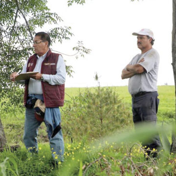 Verifican afectaciones a parcelas de maíz en el territorio mexiquense