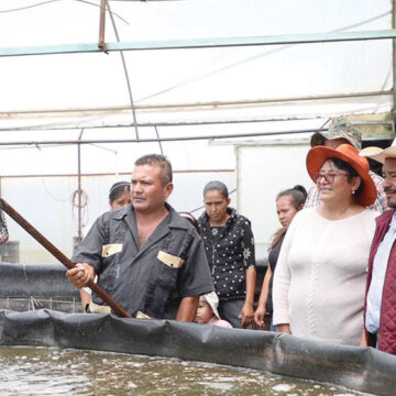 Invernaderos y piscicultores mexiquenses serán apoyados ante fenómenos climatológicos