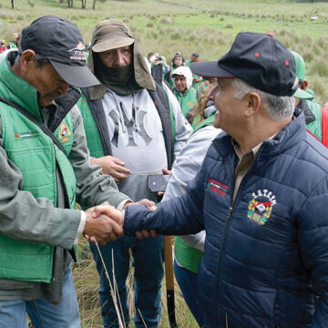 Reforestan suteymistas el paraje “El Mapa”