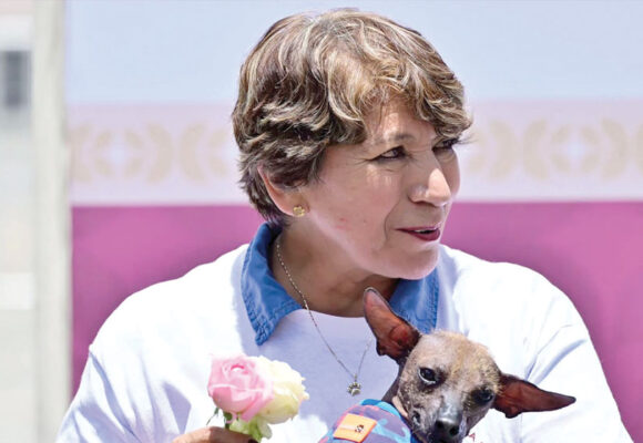 Impulsa Delfina Gómez adopciones y esterilizaciones de seres sintientes en el Edoméx