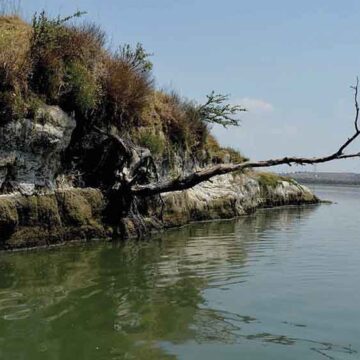 Edoméx cuenta con Geoportal Estatal de Cambio Climático