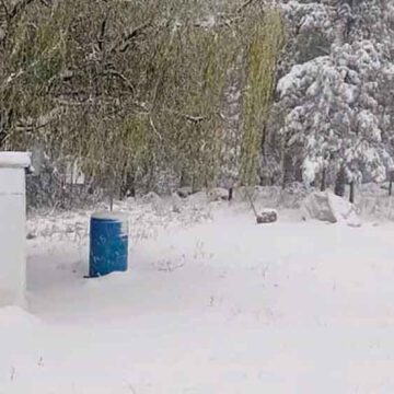 Servicios básicos son dañados en Chihuahua por tormenta invernal