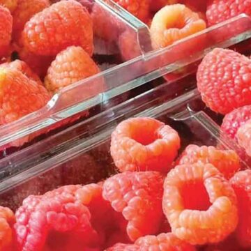 Se recupera la producción y exportaciones de berries mexicanas: Aneberries